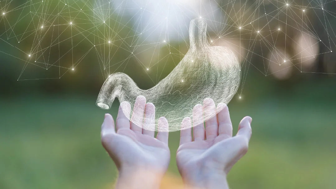 Paachan Samasya Ka Ayurvedic Samadhan – Divyaarth Paachan Pro Powder Se Sudharein Apna Digestive System